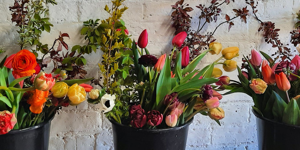 Wild Rose Flower Company flowers