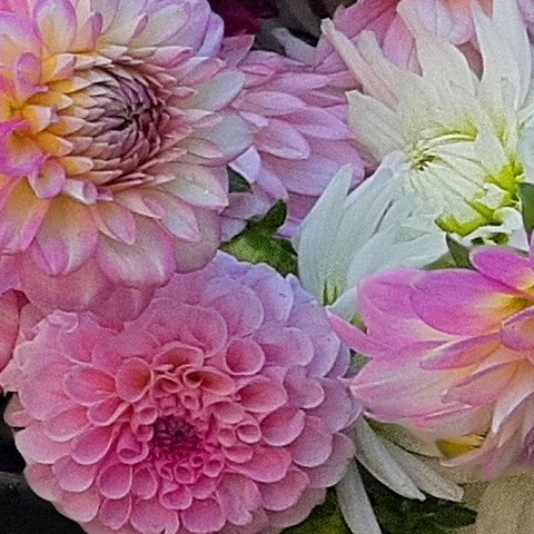 flower arranger's buckets