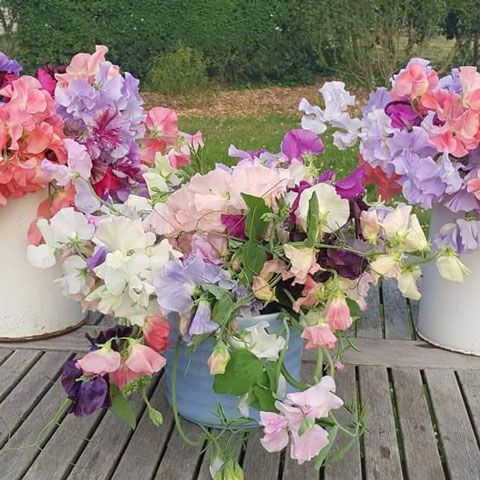 weddings and events flowers