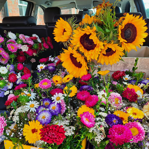 weddings and events flowers