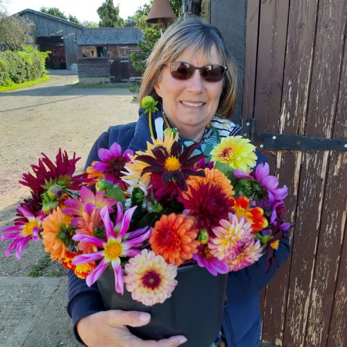 pick your own at the wild rose flower company