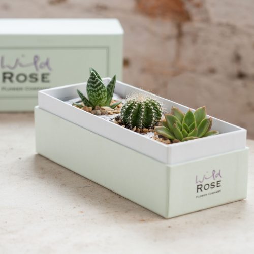 the eternal garden gift box