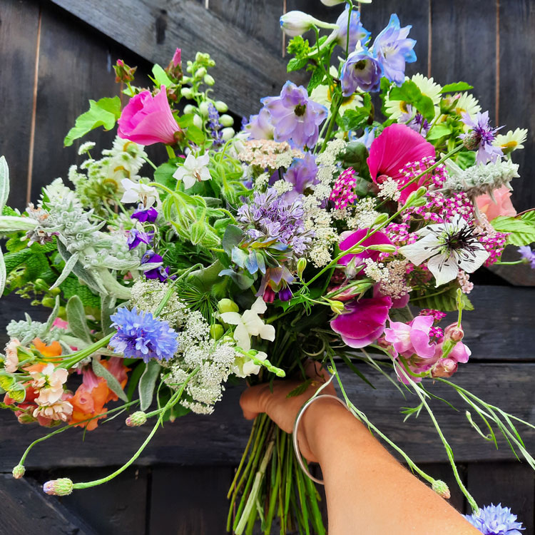 artisan flower farm producing subscription flowers
