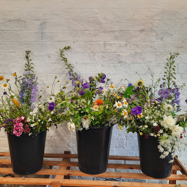 artisan flower farm producing subscription flowers