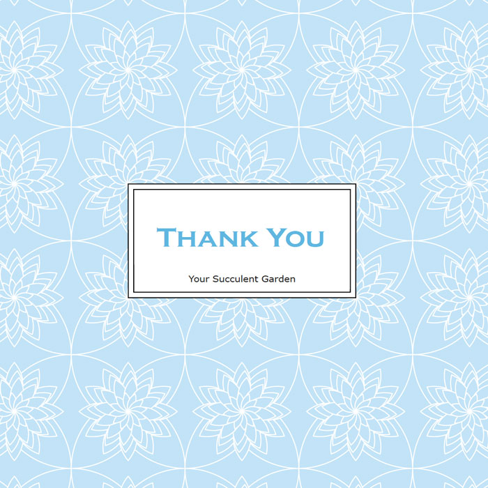 thank you sky blue wrapper