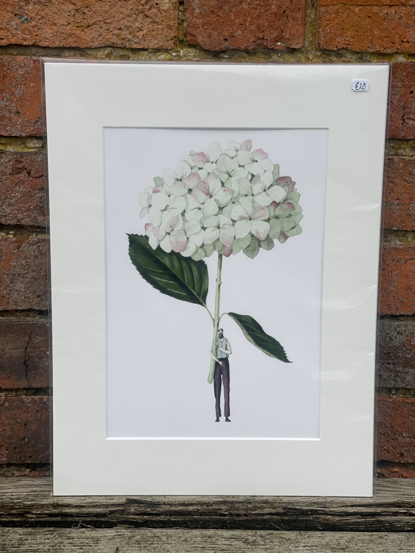 Laura Stoddart Framed hydrangea print