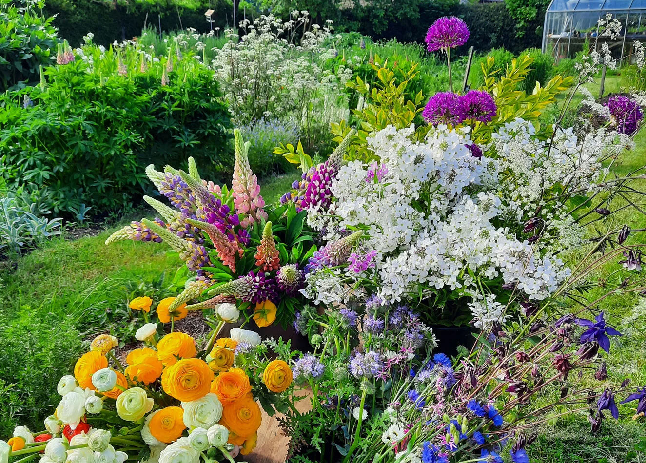 seasonal flowers