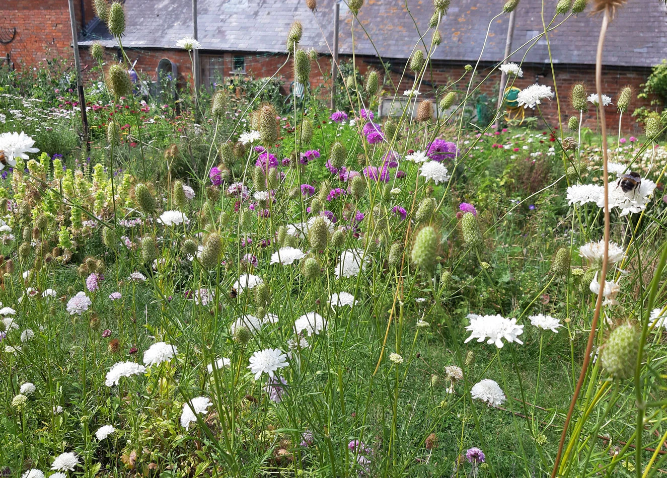the flower season